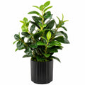 Plante verte artificielle 120 cm en plastique vert avec pot noir décoratif
