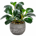 Plante verte artificielle 70 cm en plastique vert avec pot décoratif pour intérieur